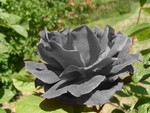 ladyb1306