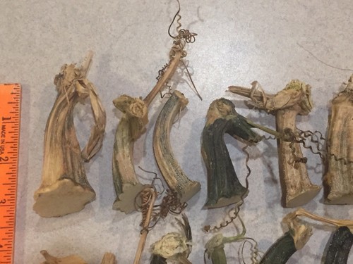 26 Excellent Quality Dried Pumpkin Stems - Crafts, Velvet 2