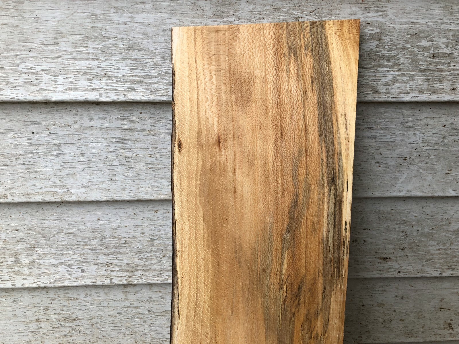Quartersawn Natural Edge one side Sycamore slab
