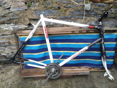 Rayleigh Mtb Frame Mustang 80s.