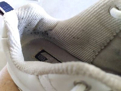 Fotos del artículo de un comprador verificado
