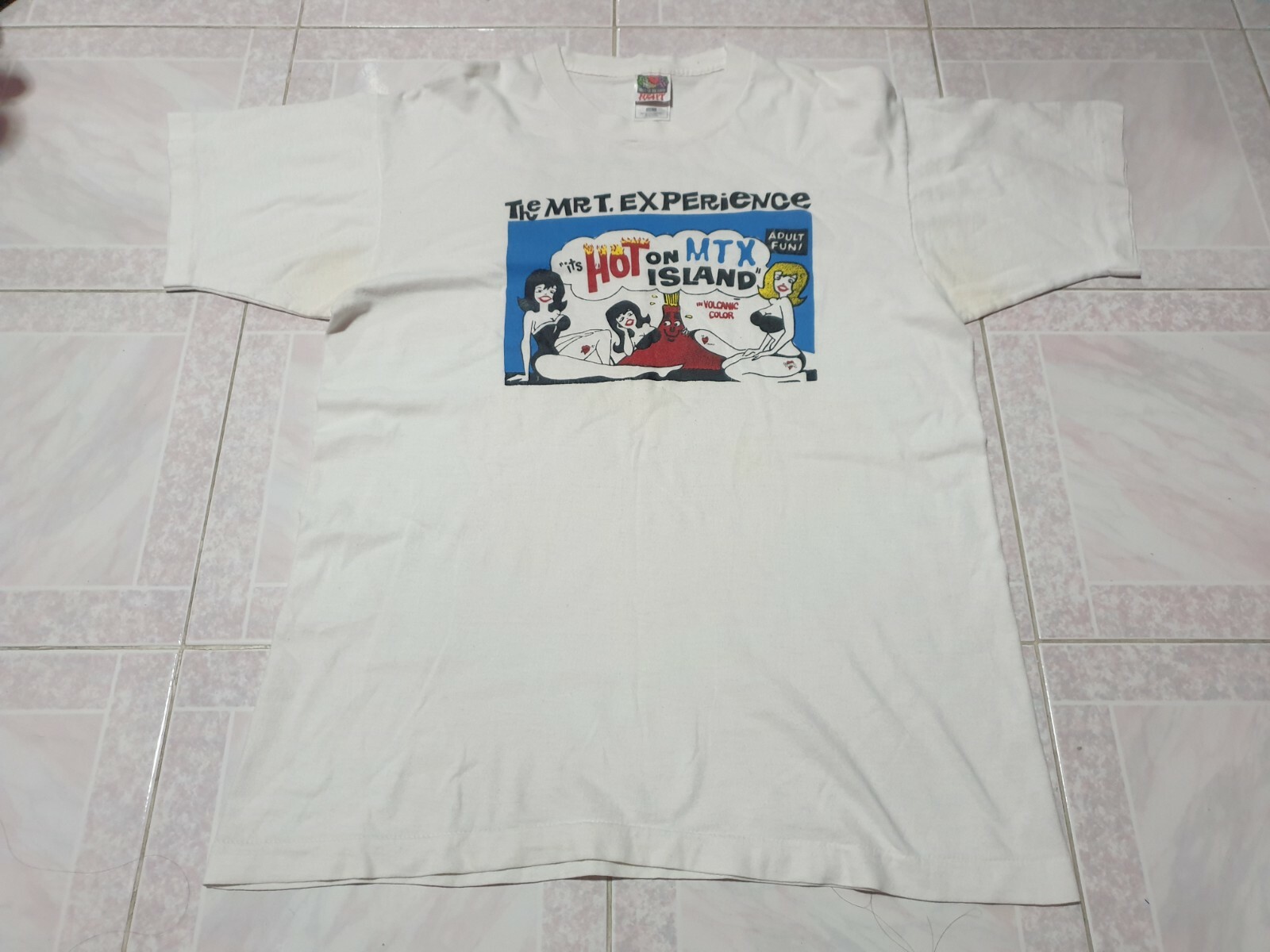 the Mr.T Experience us pop punk LP2枚セット the Mr.T Experience us pop punk LP2枚セット Mr T Experience