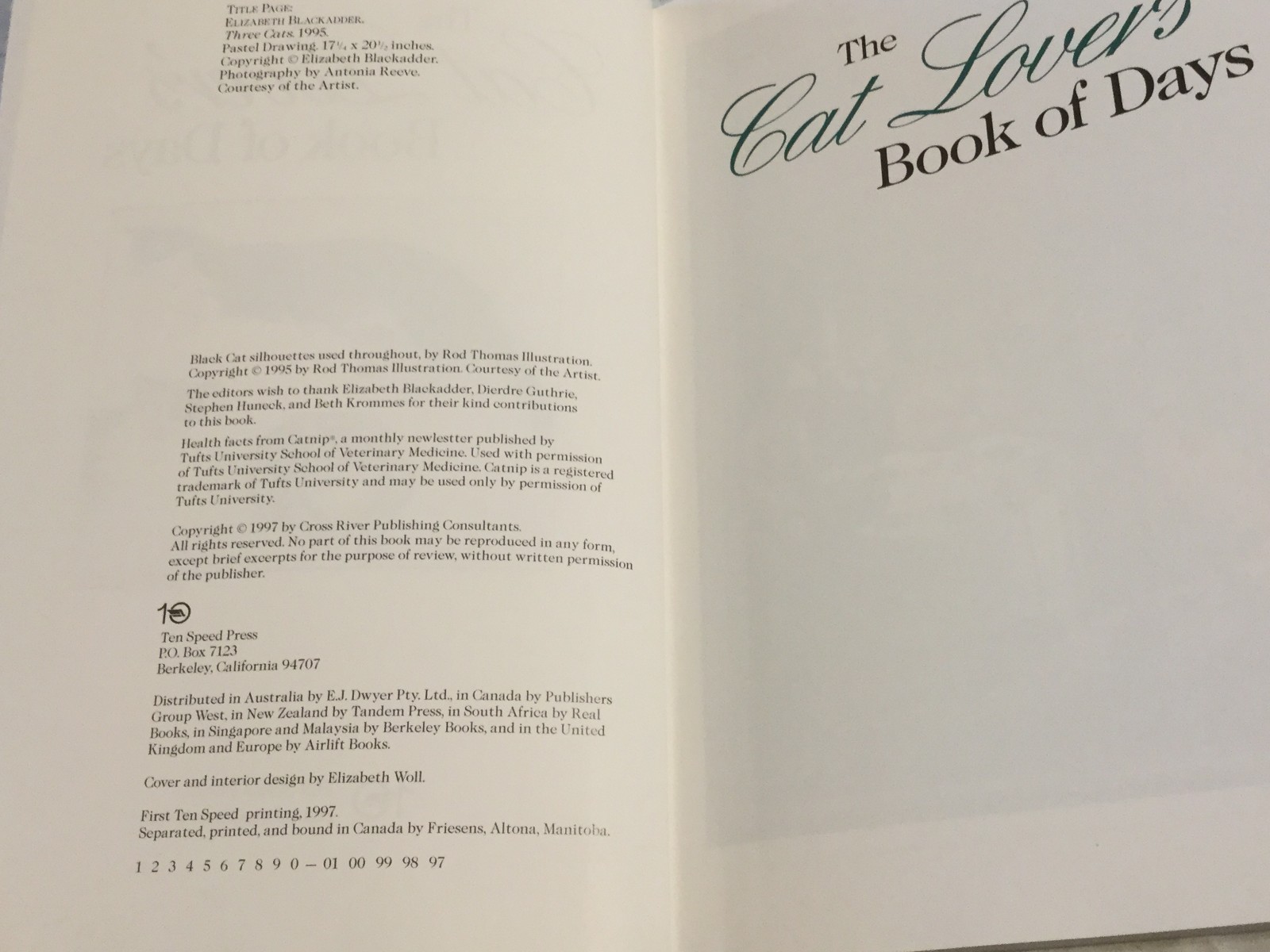 The Cat Lover's Book of Days 1997 Art From Museums, Quotes, Fun Facts, Journal