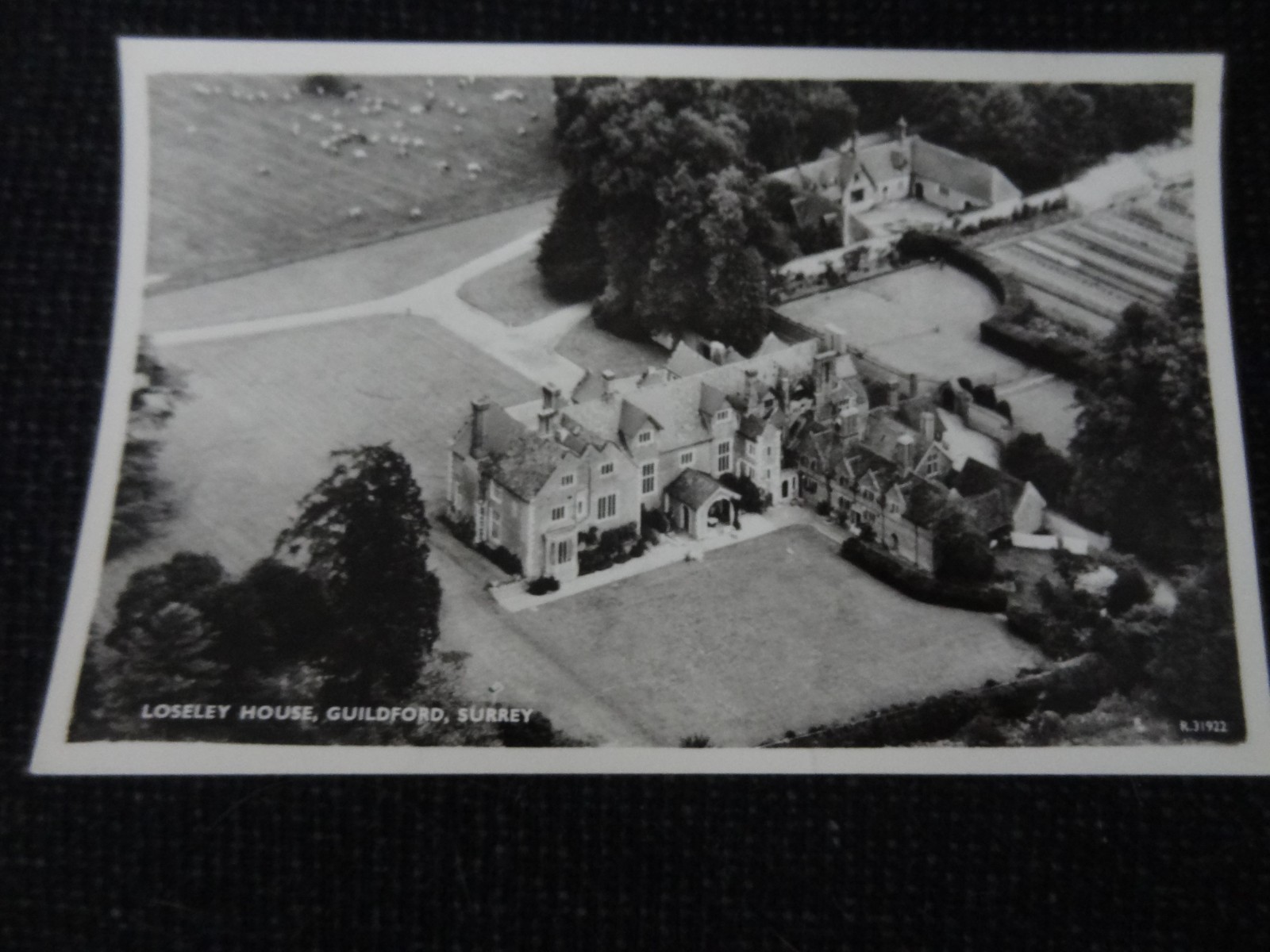 Loseley House Guildford Surrey Postcard - 109465
