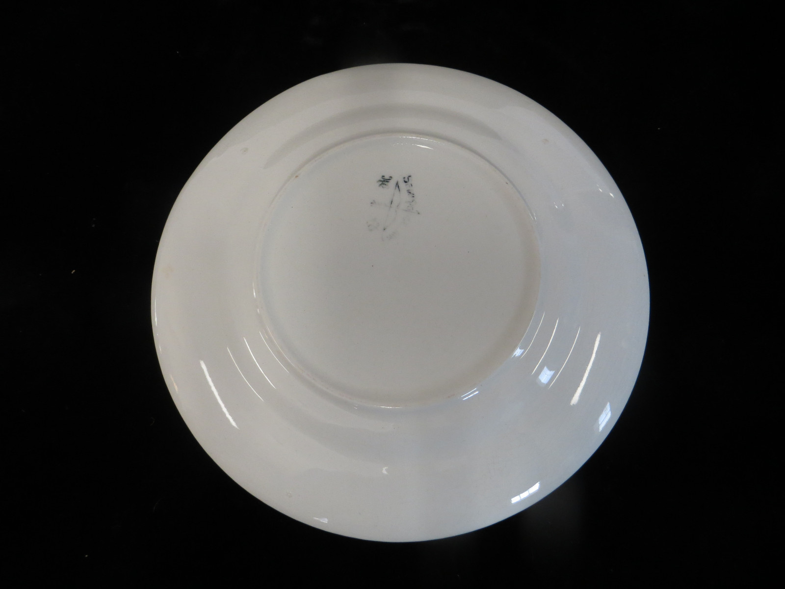 Vintage Advertising Plate - Finger Lakes and Watkins Glen, N.Y. - NY