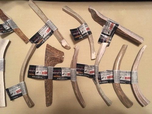 Dentley’s Large, XL Naturally Split Elk and Deer Antler Dog Chews Bundle Of 11!