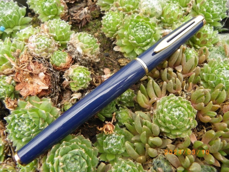 Stylo Plume Waterman Hemisphere Laque Bleu Excellent Etat
