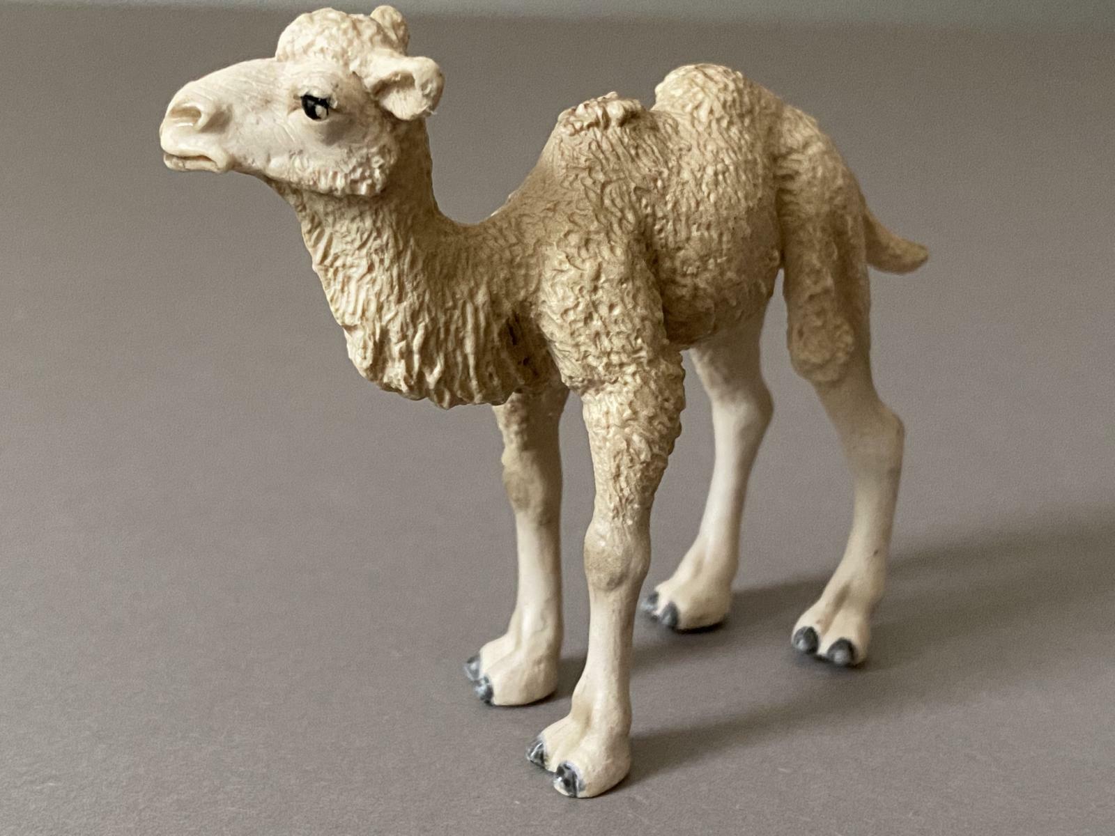 Schleich 14602 Wild Life Trampeltier Fohlen – Spielzeugfigur Für Tierfreunde, 7.8 X 3.0 X 6.5 Cm