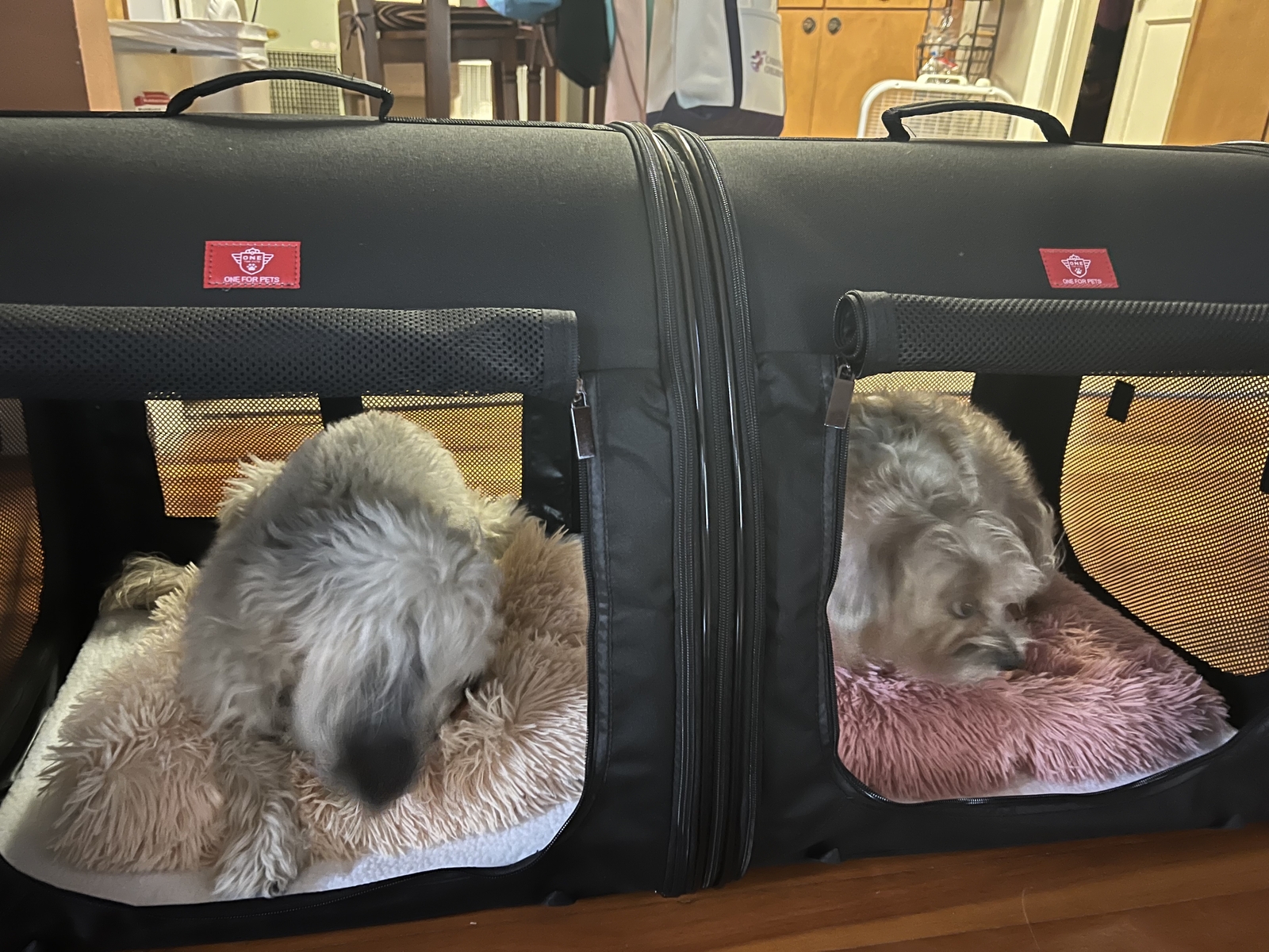 One for Pets Portable 2in1 Double Pet Kennel/Shelter, Fabric, Black