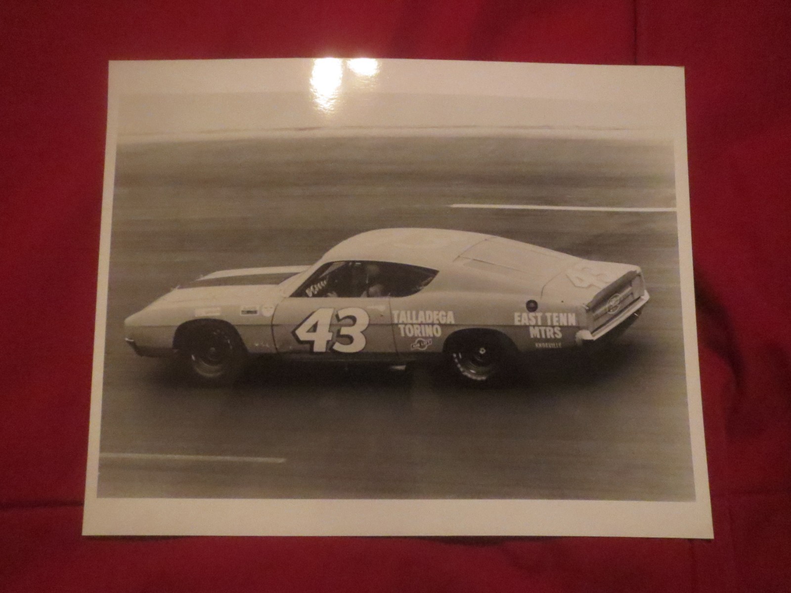 1969 Ford Torino Talladega Richard Petty Press Photo New for sale in