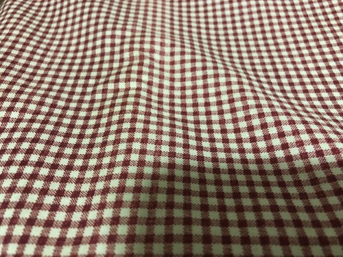 2 Yards Cranston Print Works Red Check Fabric