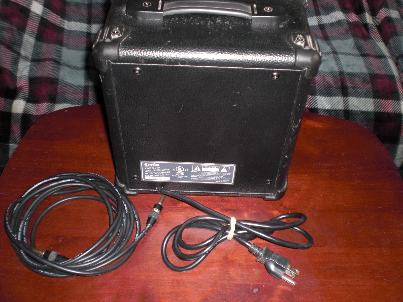 ESTEBAN  G-10 GUITAR AMP  12 WATT 2004