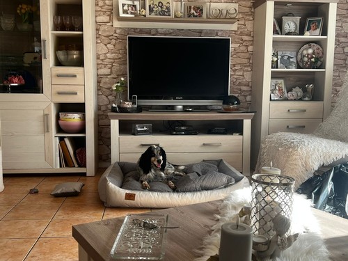 Artikelfoto(s) von einem verifizierten Käufer