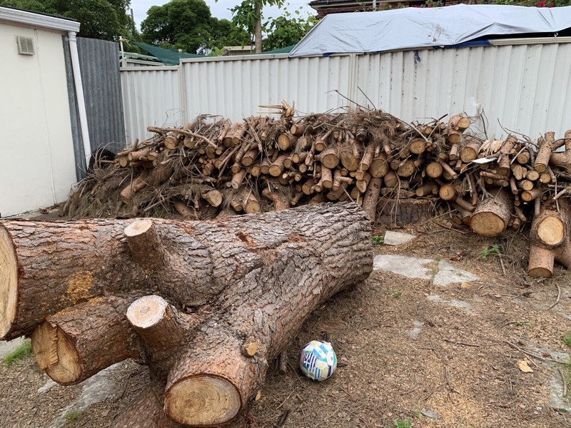 15 Top Pictures Free Firewood Near Me / Free Firewood 4 Options For Finding And Harvesting Your