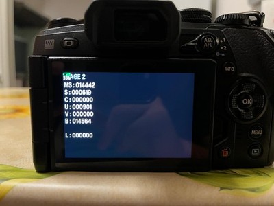 Artikelfoto(s) von einem verifizierten Käufer