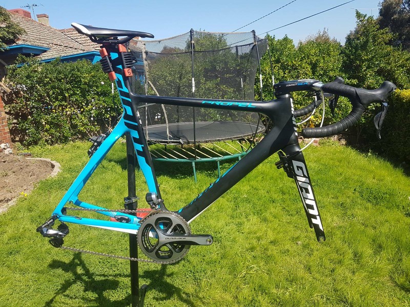 gumtree giant propel