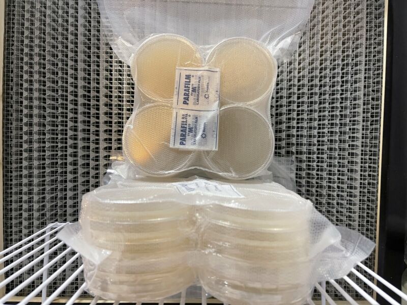 20 Pre-poured Petri Dishes