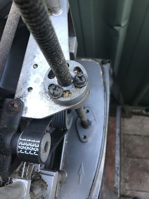 Fotos del artículo de un comprador verificado