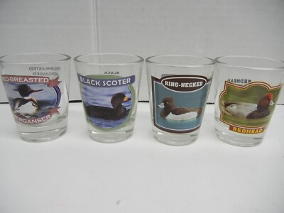 Duck Shot Glasses, Ring neck, Scooter, Red head, Merganser Set of 4