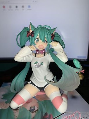 Fotos del artículo de un comprador verificado