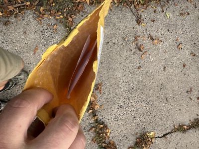 Artikelfoto(s) von einem verifizierten Käufer