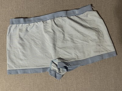 Barely There Flawless Fit Boy Short Panties S/5 Periwinkle Stripe New