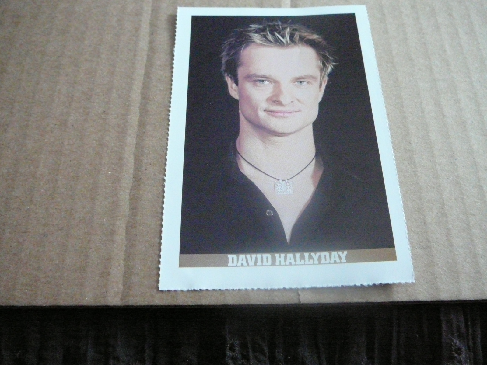 DAVID HALLYDAY PIN UP POSTER PHOTO AFFICHE 8 x 11.5 CLIPPING + 1 CARD CARTE