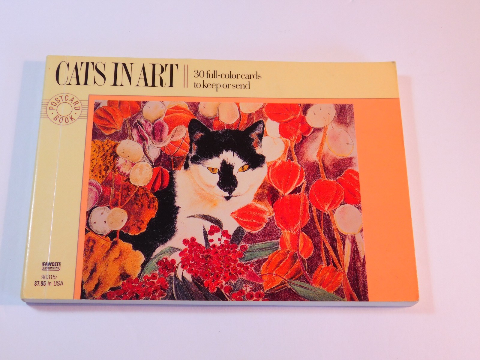 ◆Cat◆ Ferrari ⋆ Sassy Koonz Maine Coon Cattery