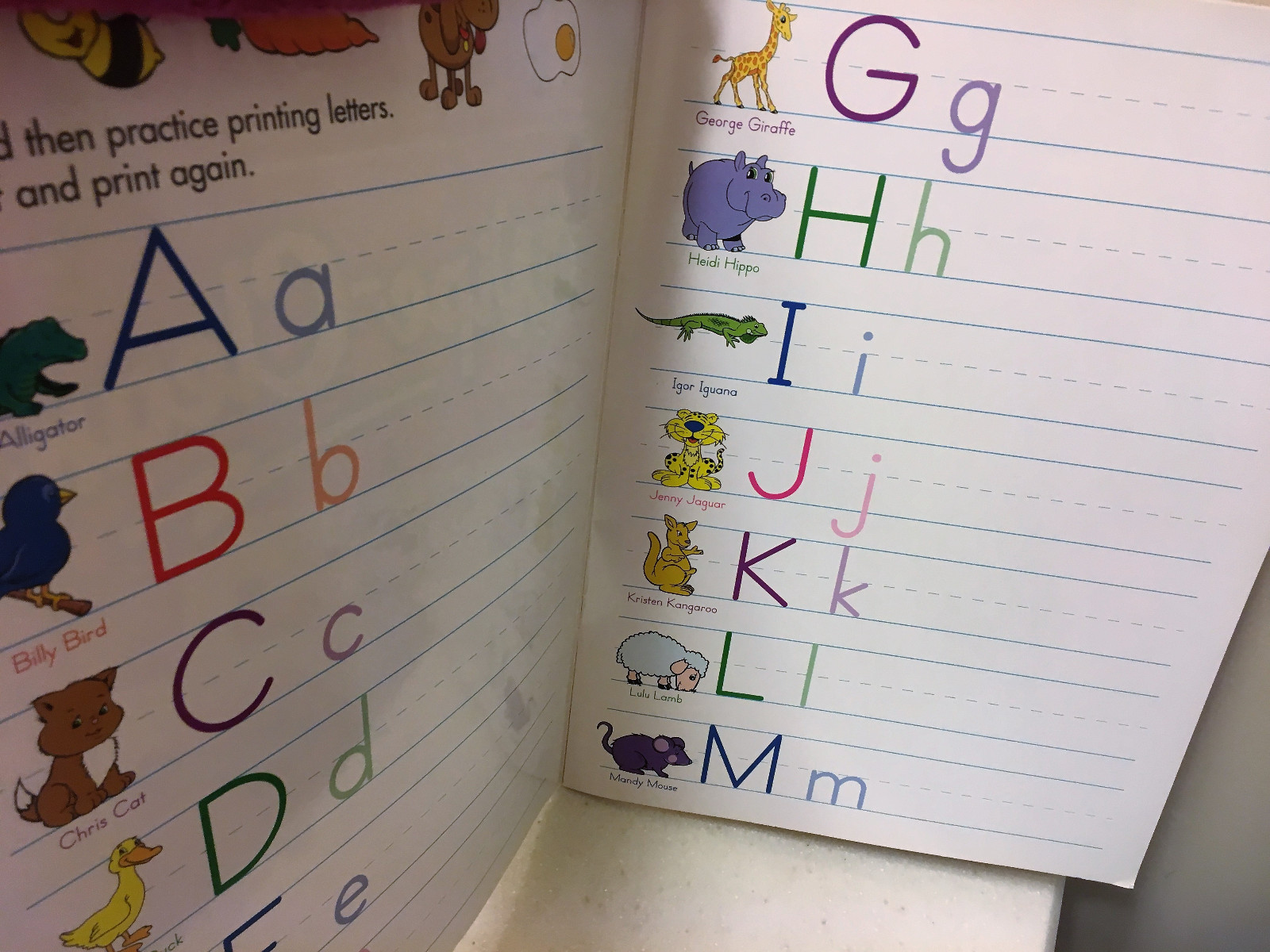 WIPE CLEAN PRINTING PRACTICE WORKBOOK WIPE OFF K-1 homeschool alphabet writing