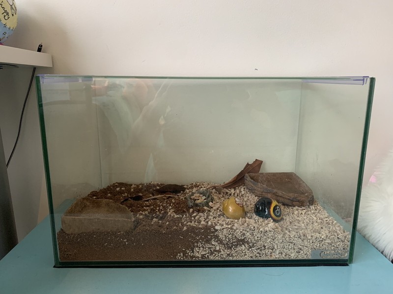 hermit crab tank accessories