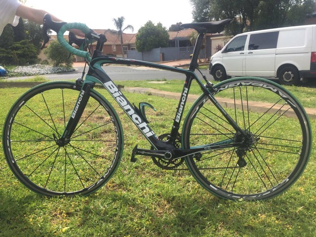 bianchi gumtree