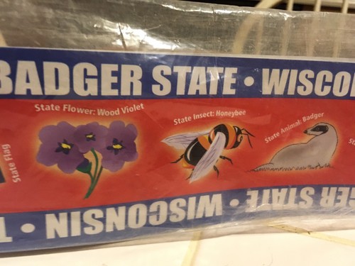 Wisconsin State Symbols Bulletin Board Borders (22 Borders = 32ft) NEW!