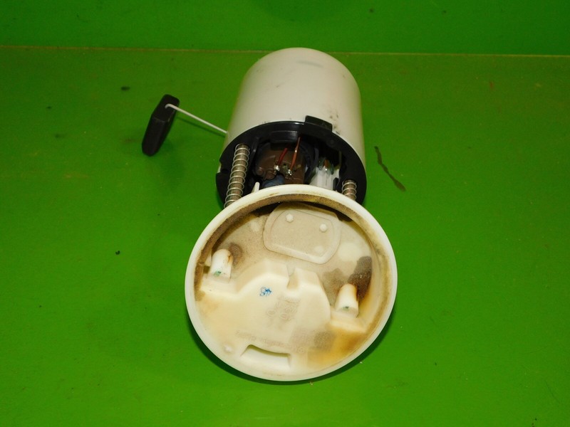 Picture 3