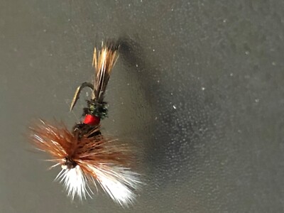 6 Size 14 ROYAL WULFF PREMIUM LIGAS FLY FISHING FLIES 