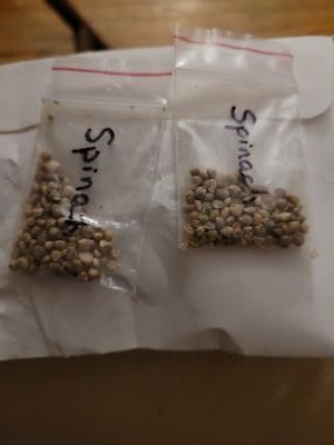 Photos de l'objet d'un acheteur vérifié