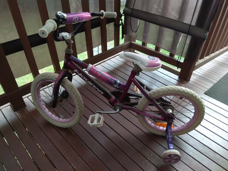 used training wheels