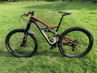 specialised enduro 29er