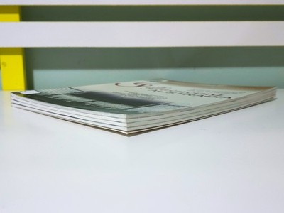 Picture 4