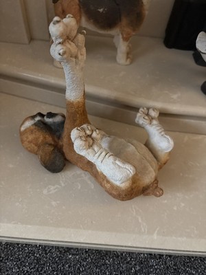 Photos de l'objet d'un acheteur vérifié
