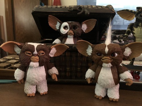 NECA Gremlins Evolution Of The Gremlin Box Set IN HAND | eBay NECA Gremlins Evolution Of The Gremlin Box Set IN HAND | eBay
