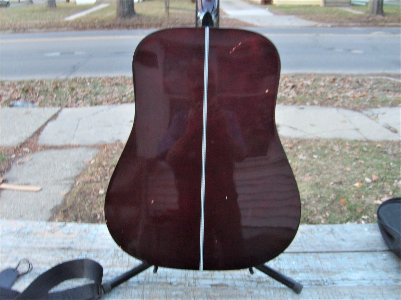 Burswood Acoustic Guitar   ESTEBAN With Case and Stand