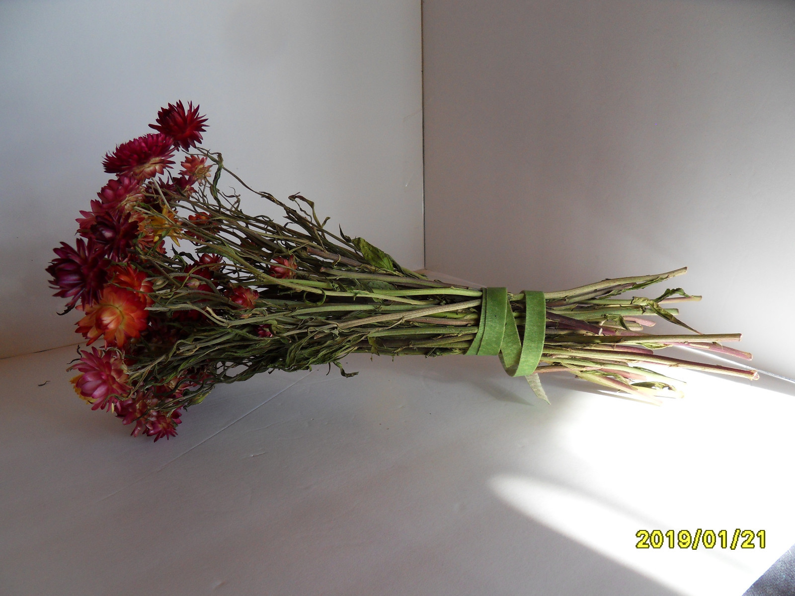 dried flowers straw flowers strawflowers  assorted sizes  40 pieces with stems
