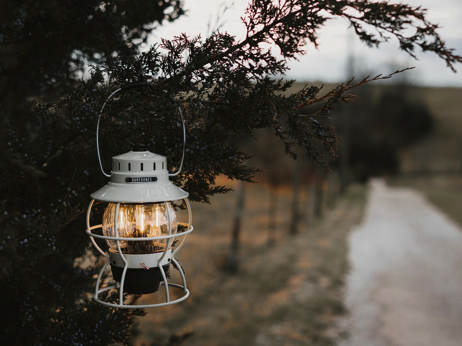 Barebones LED RAILROAD LANTERN 大　ブロンズ Barebones Railroad Lantern | Camping Lantern