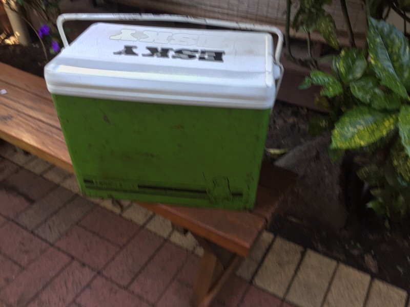 30 litre esky