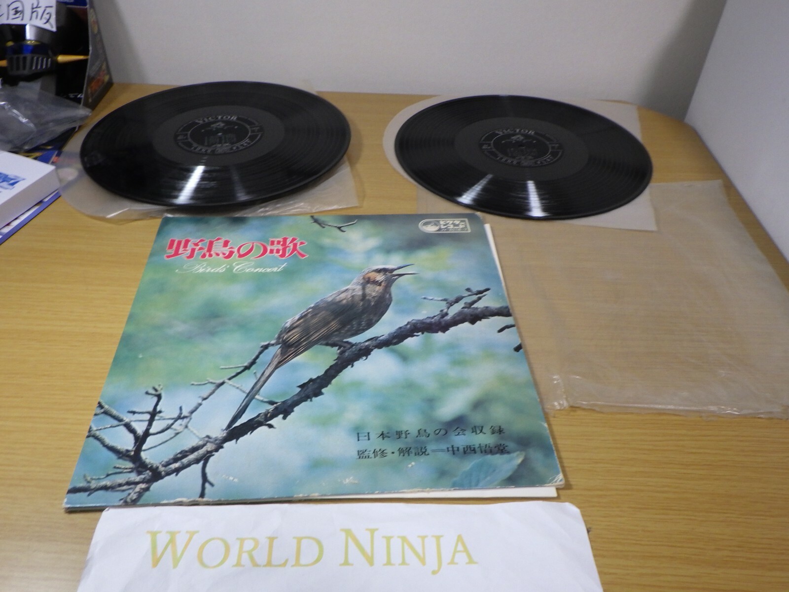 〔 Bird - Bird's Nest 〕2LP レコード レコード2枚組 Bird Bird's Nest バード 大沢伸一 田島貴男