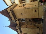 strychnos_ignatia