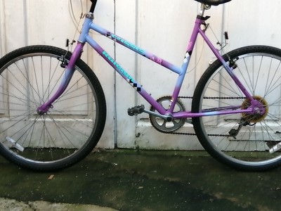 raleigh elia ladies mountain bike