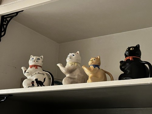 Foto dell'oggetto di un acquirente verificato