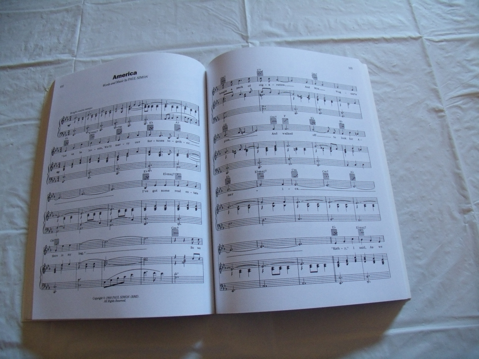 Classic Paul Simon/The Simon & Garfunkel Years Songbook Guitar Chord Boxes