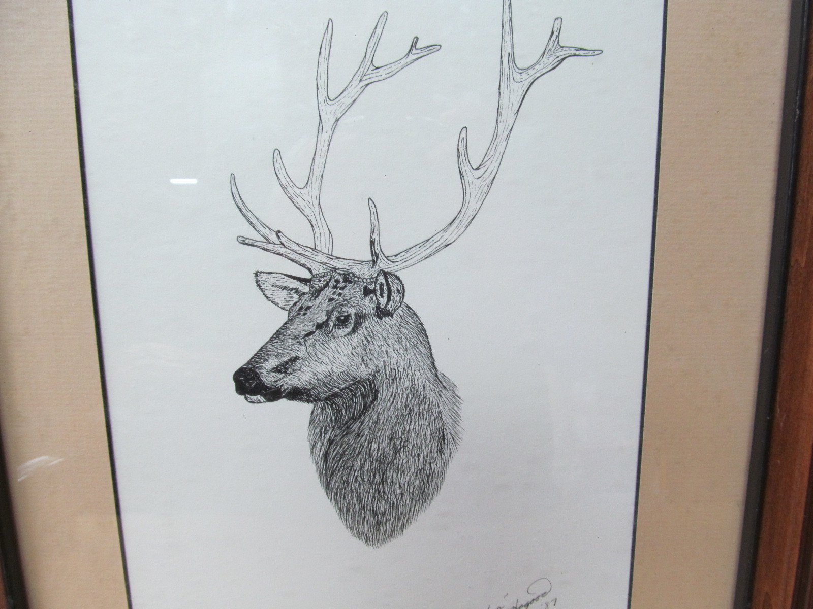 “Elk” Wildlife Artist Talbot Hap Hagood Jr. – Pen + Ink Drawing Framed Original